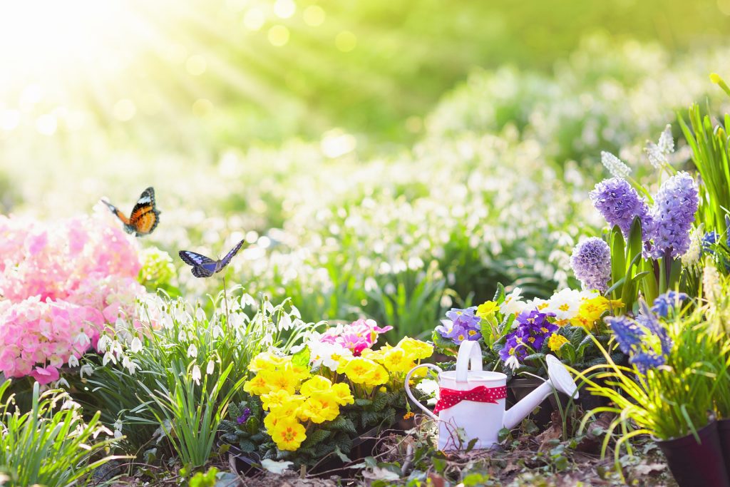 Gardening Shrewsbury